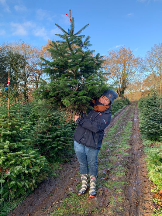 Un sapin de Noël éco responsable