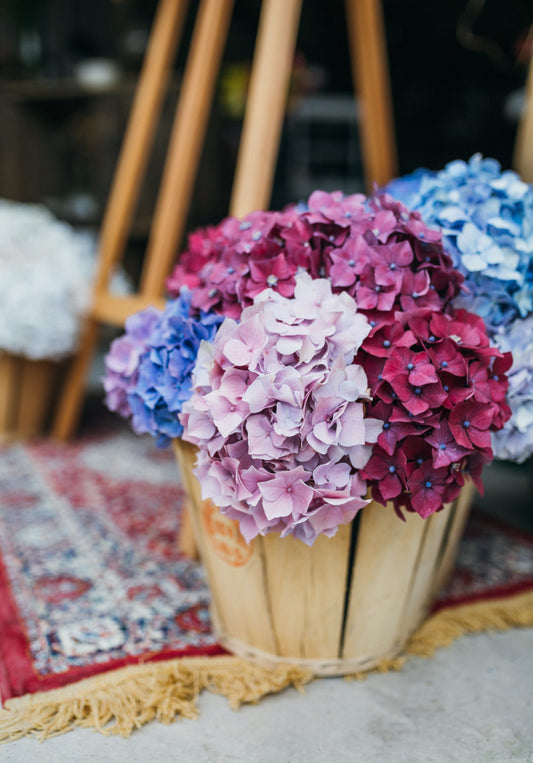 La provenance des fleurs, ça vous parle?