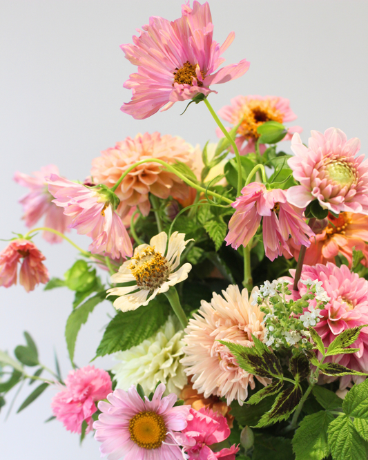Le Bouquet du mois - DOUX