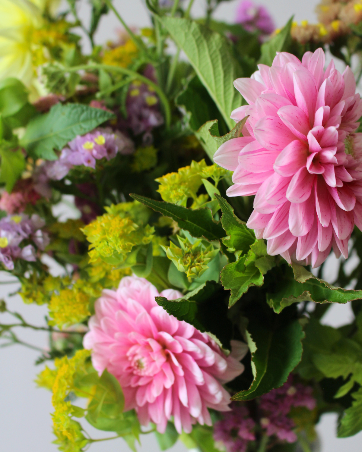 Le Bouquet du mois - DOUX