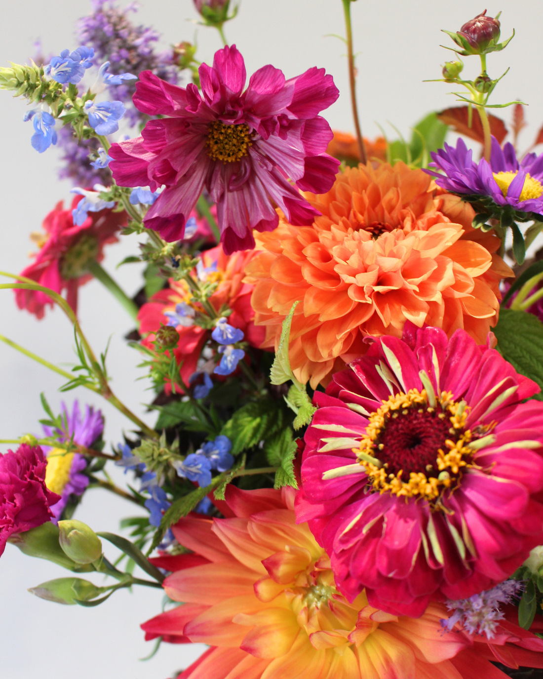 Comment faire durer un bouquet de fleurs fraîches ? Nos conseils