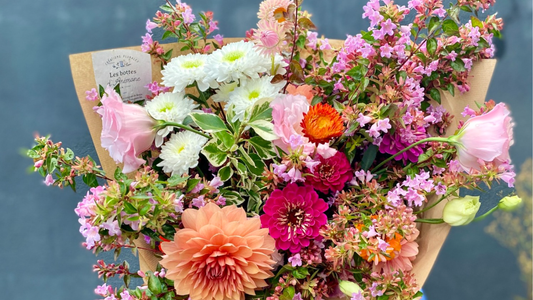 Les bottes d'Anémone publient leur premier rapport de mission