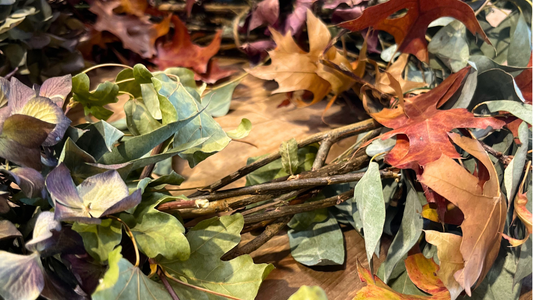 automne