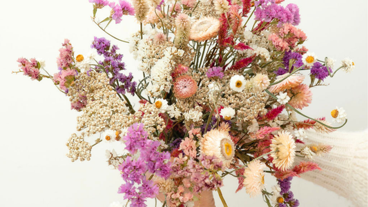 Comment prendre soin de son bouquet de fleurs séchées ?