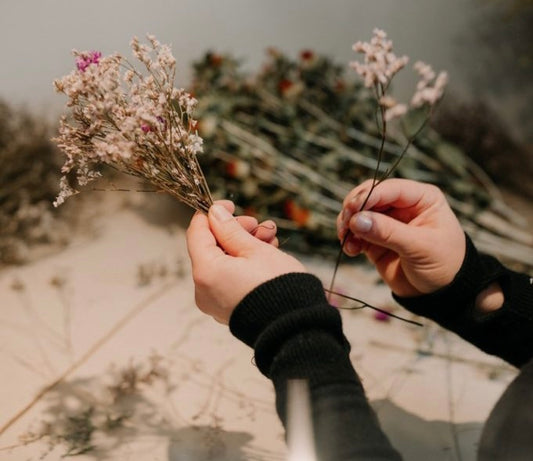 Comment prendre soin de son bouquet de fleurs séchées ?