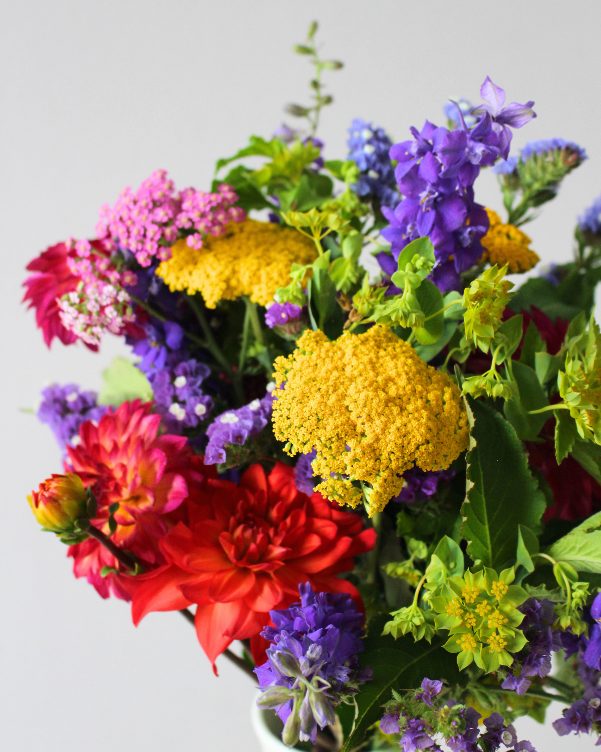 Le Bouquet du mois - VIF