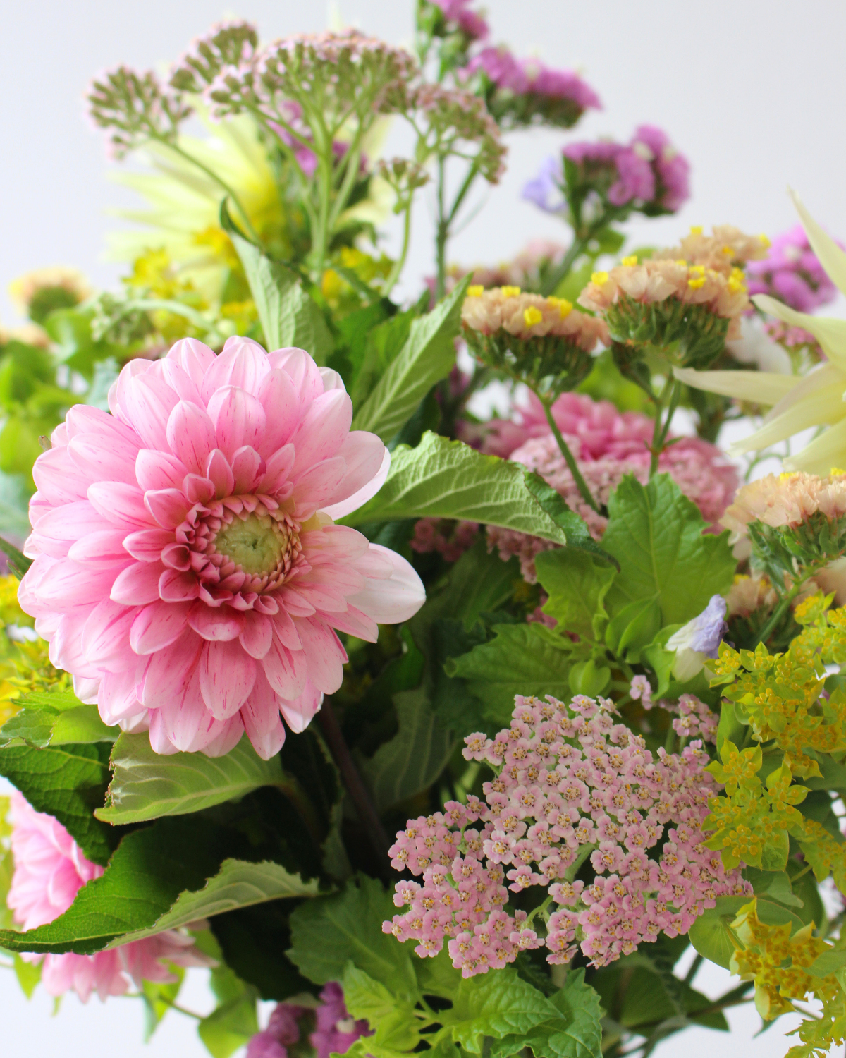Le Bouquet du mois - DOUX