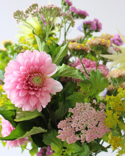 Le Bouquet du mois - DOUX