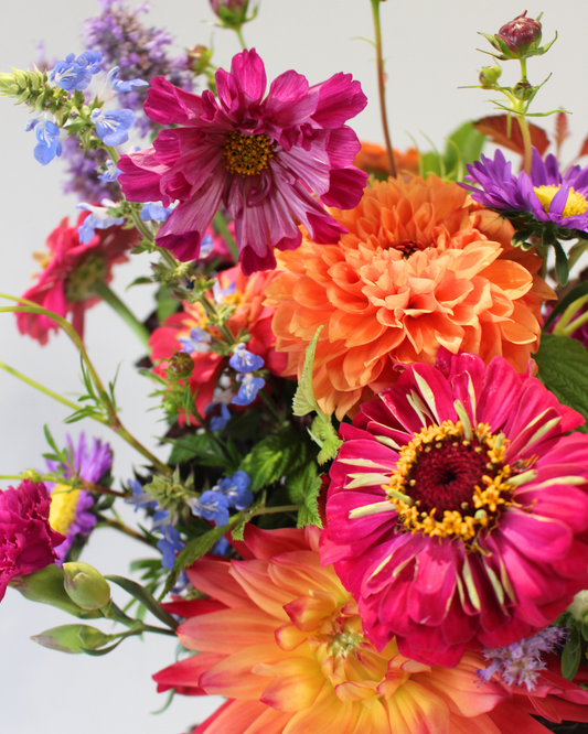 Le Bouquet du mois - VIF