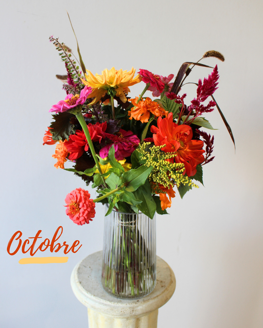 Le Bouquet du mois - VIF