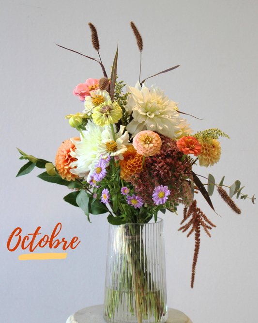 Le Bouquet du mois - DOUX
