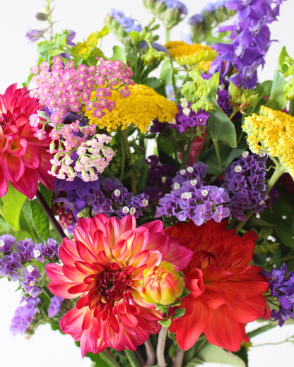 Le Bouquet du mois - VIF