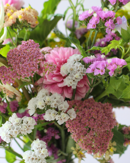 Le Bouquet du mois - DOUX