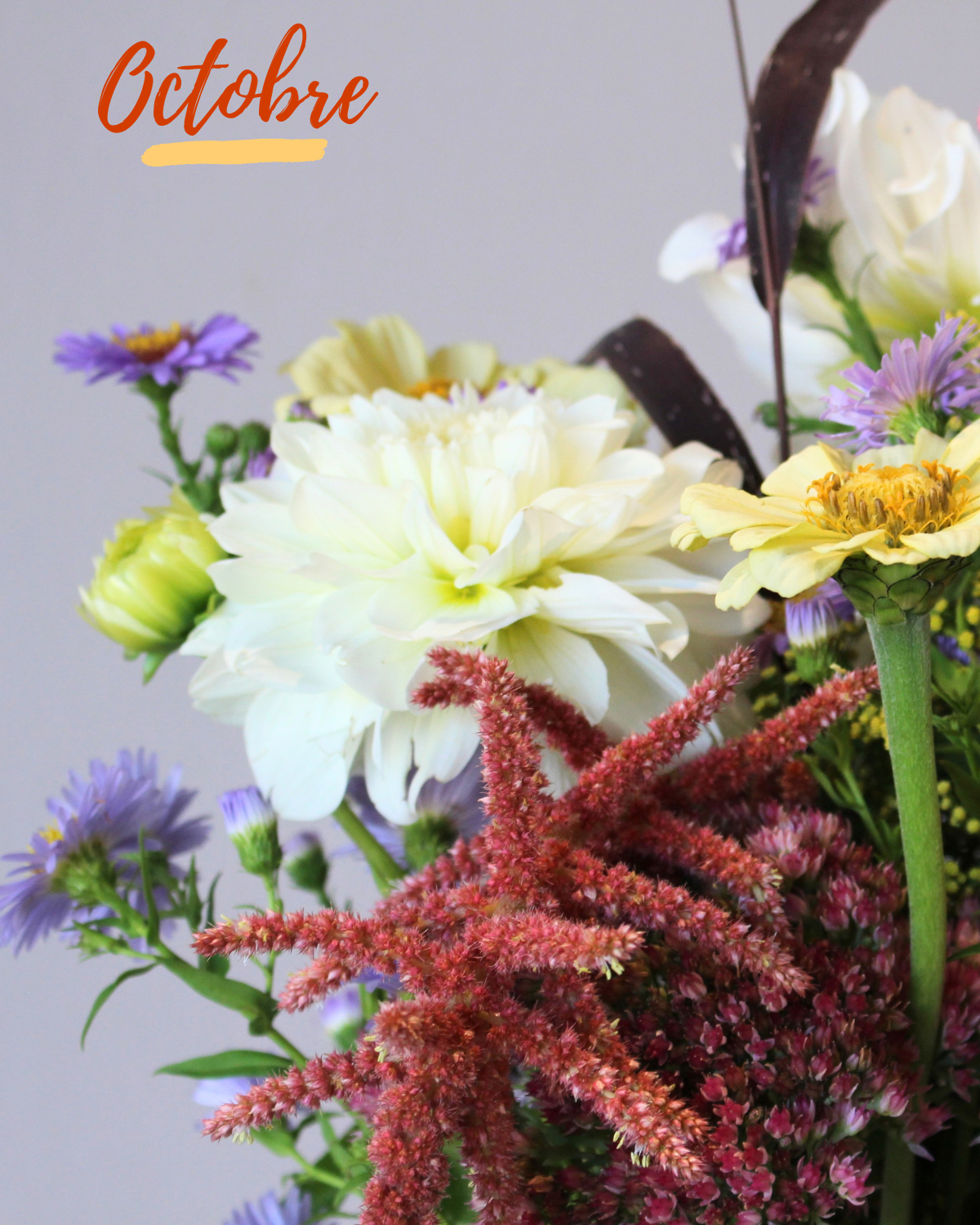 Le Bouquet du mois - DOUX
