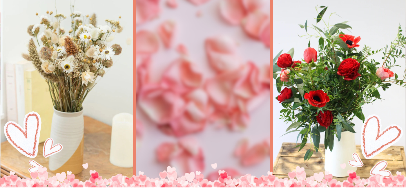 Saint Valentin - Les bottes d'Anémone - 2026