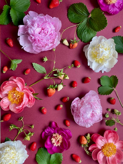 Atelier : Créez votre bouquet de pivoines (mai & juin)