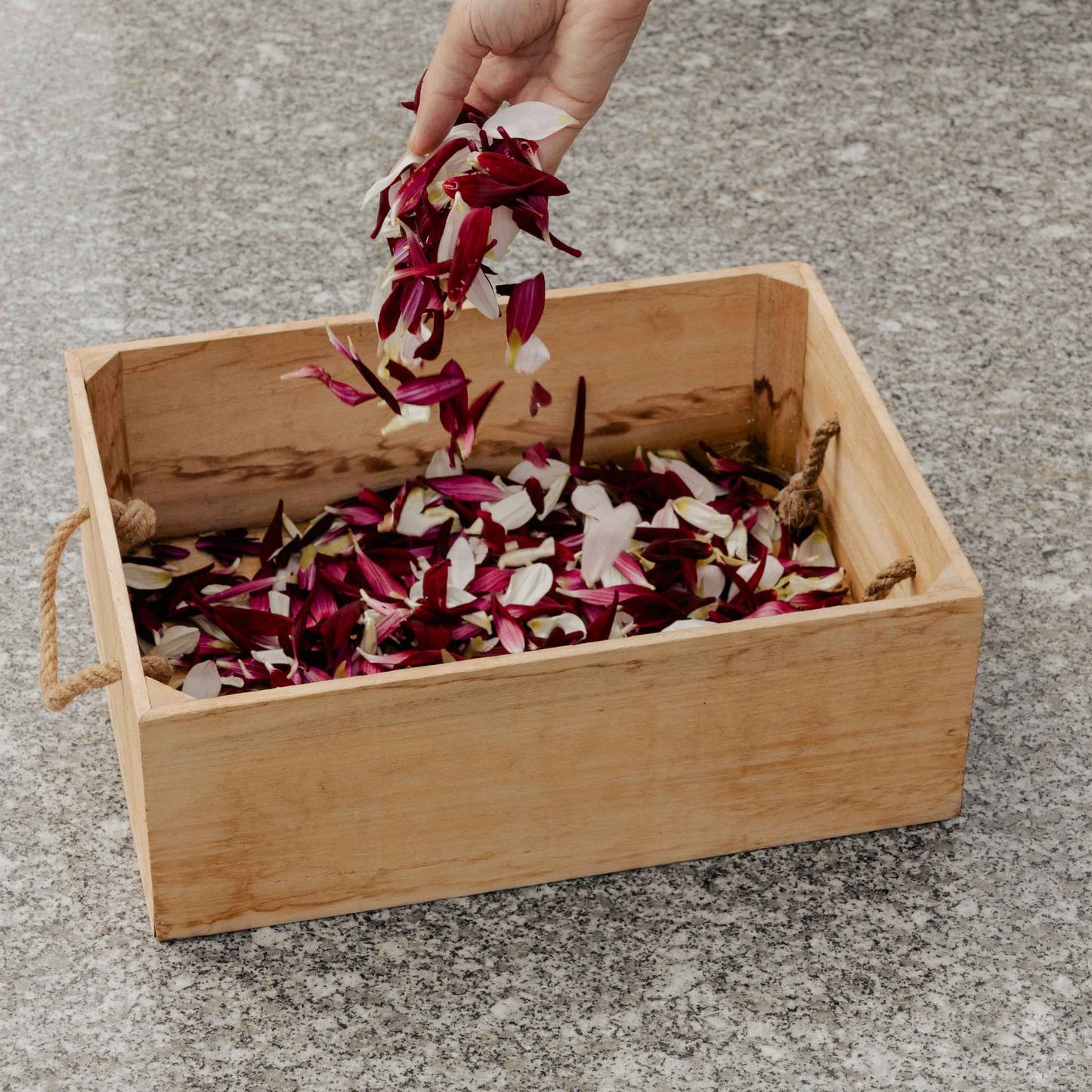 Confettis de pétales pour cérémonies de deuil