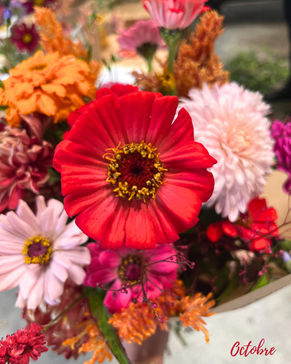 Abonnement fleurs fraiches