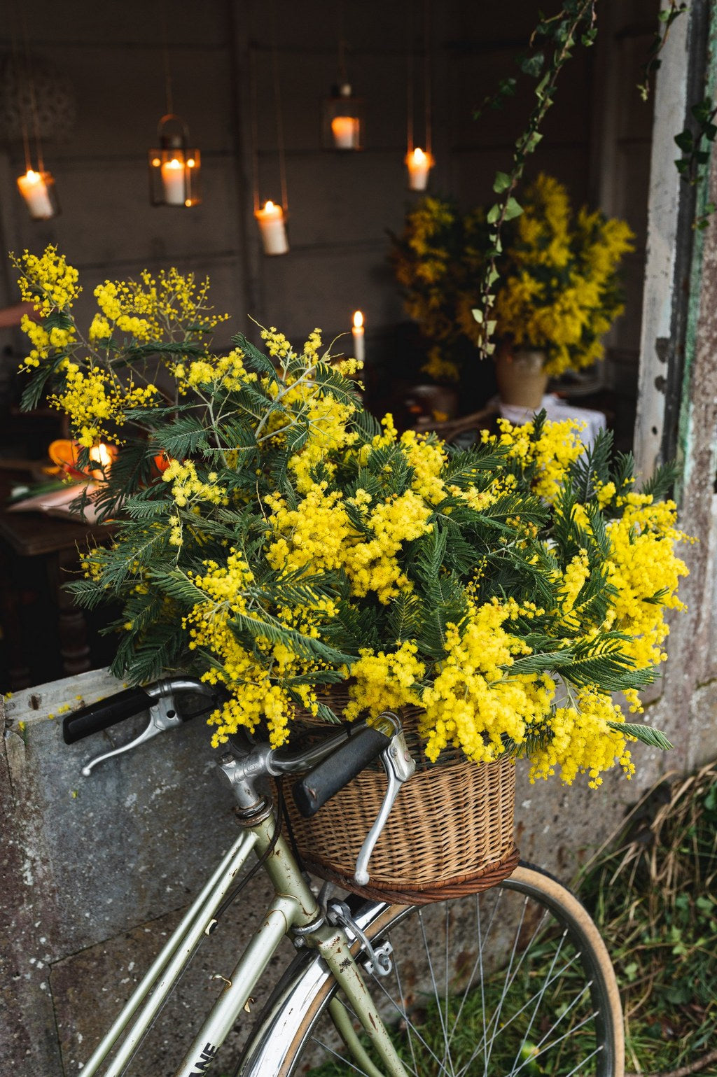 Atelier : Créez votre suspension en mimosa ( janvier & février )