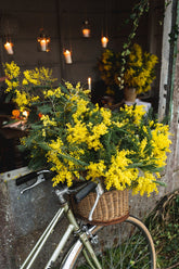 Atelier : Créez votre suspension en mimosa ( janvier & février )