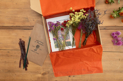 Kit à réaliser DIY - Pics à chignon en fleurs séchées - Peps