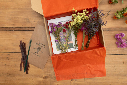 Kit à réaliser DIY - Pics à chignon en fleurs séchées - Peps