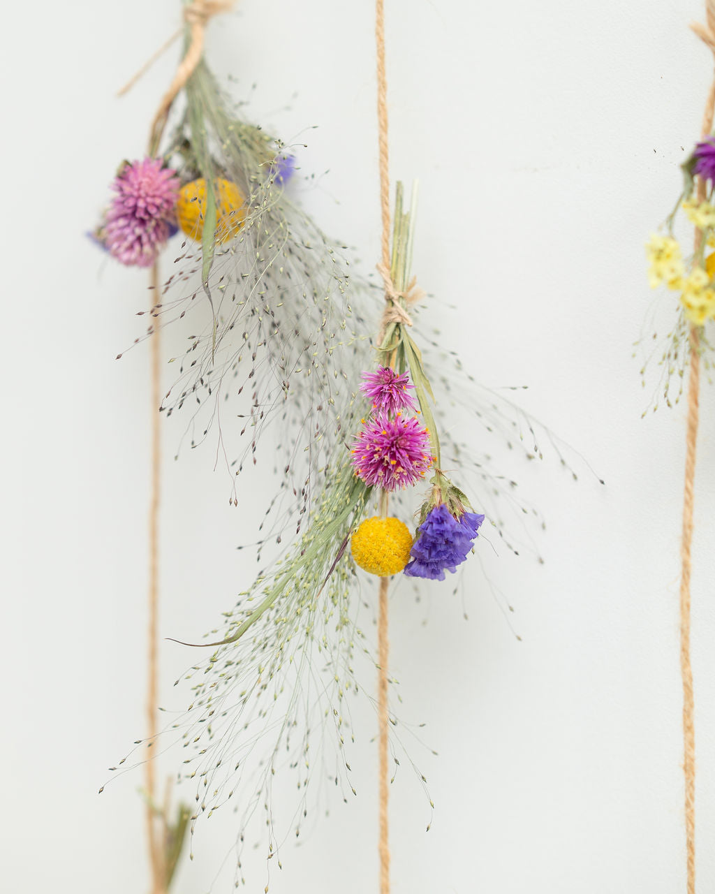 Suspension de fleurs séchées : rideau de fleurs ELECTRIC FEEL